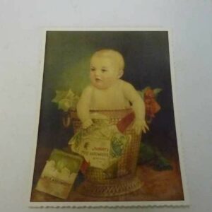 arnott's 'MILK ARROWROOT' Biscuits (Baby Boy in Basket), Postcard