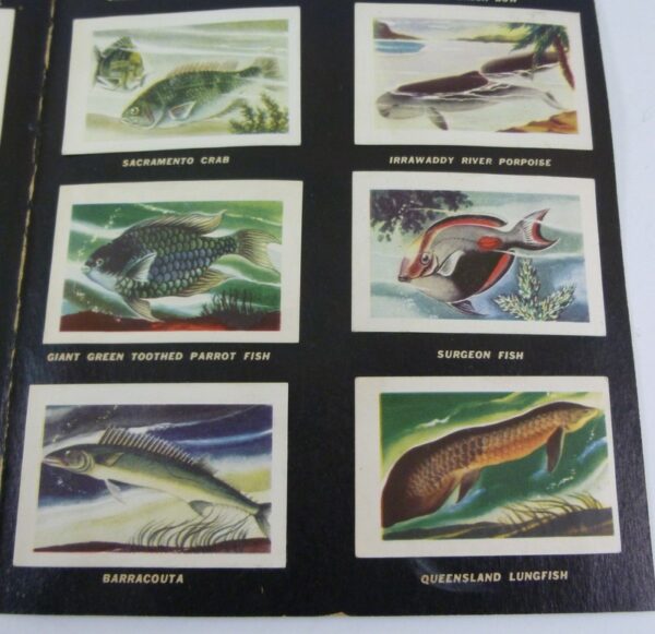MALTIES 'Fishes of the World', collector card Album, c.1950's